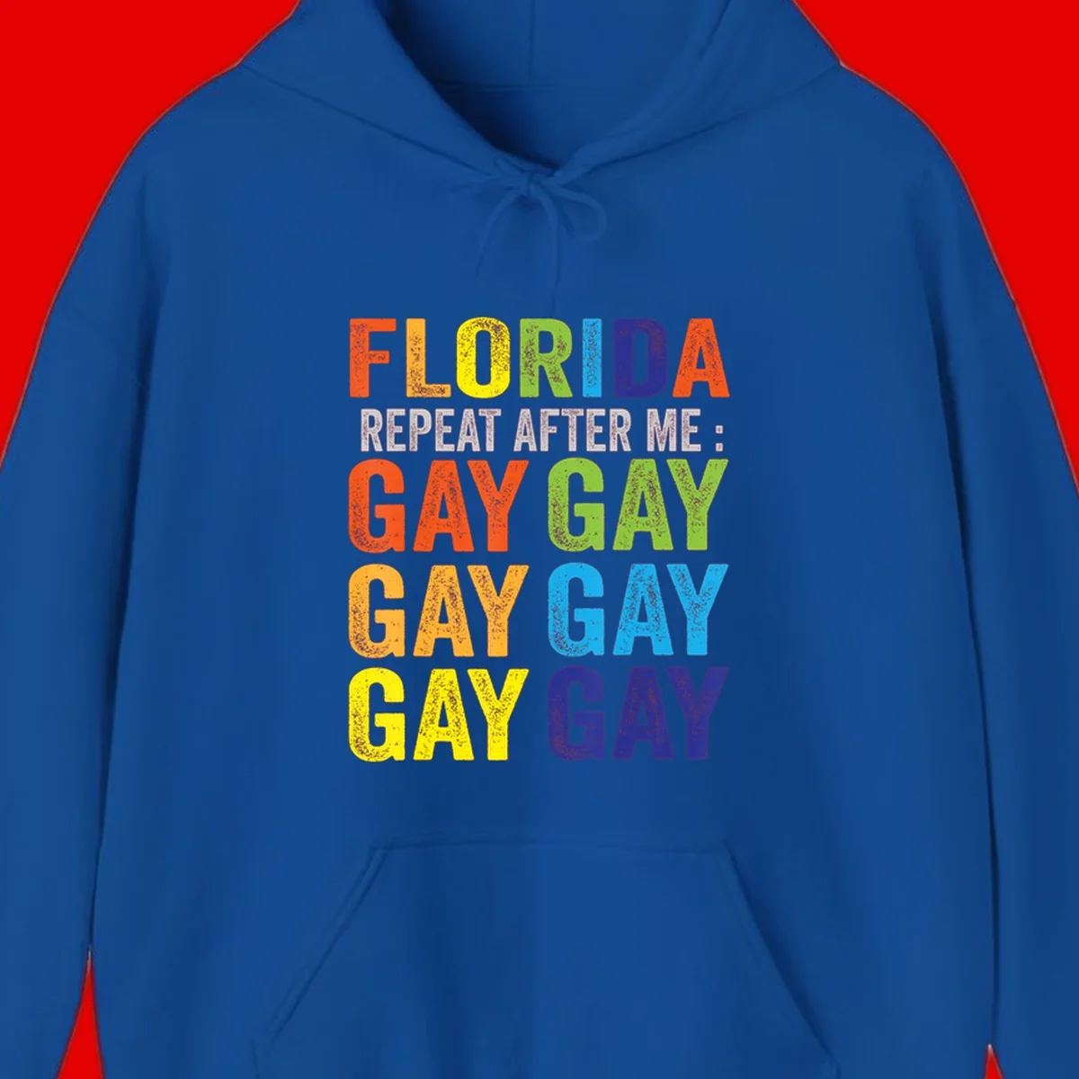 Rainbow colored text reading 'Florida Repeat After Me: Gay Gay Gay Gay' with distressed grunge texture on gray background