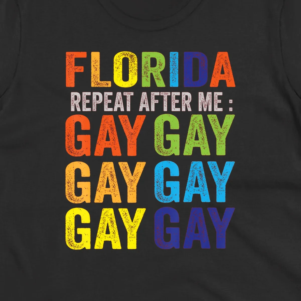 Rainbow colored text reading 'Florida Repeat After Me: Gay Gay Gay Gay' with distressed grunge texture on gray background
