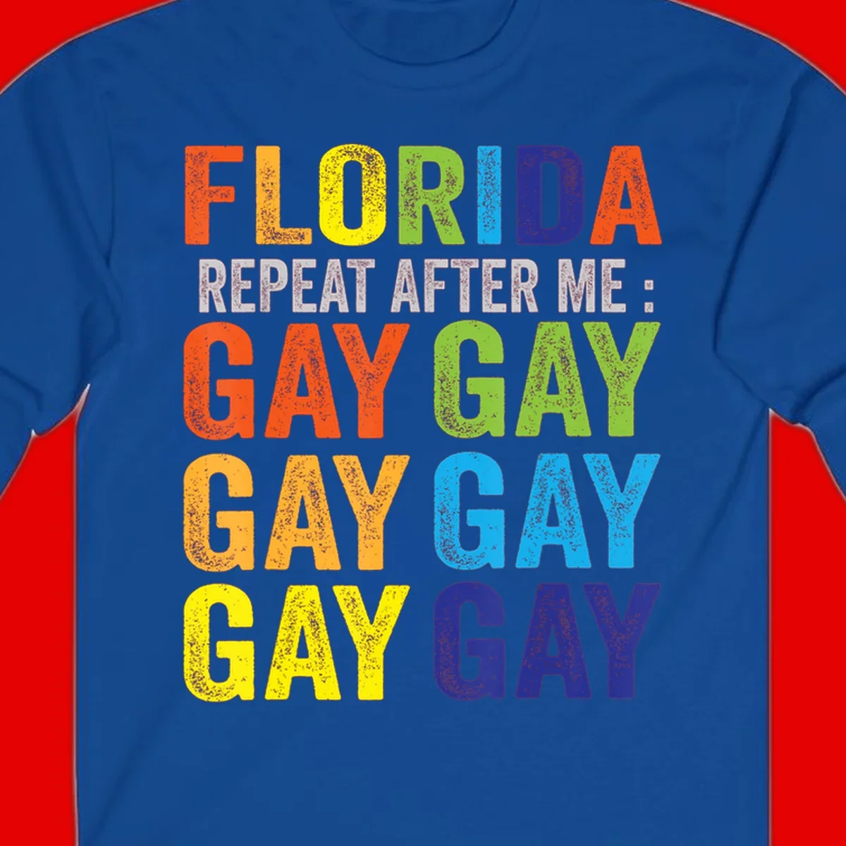 Rainbow colored text reading 'Florida Repeat After Me: Gay Gay Gay Gay' with distressed grunge texture on gray background