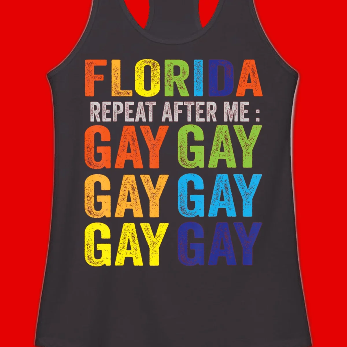 Rainbow colored text reading 'Florida Repeat After Me: Gay Gay Gay Gay' with distressed grunge texture on gray background