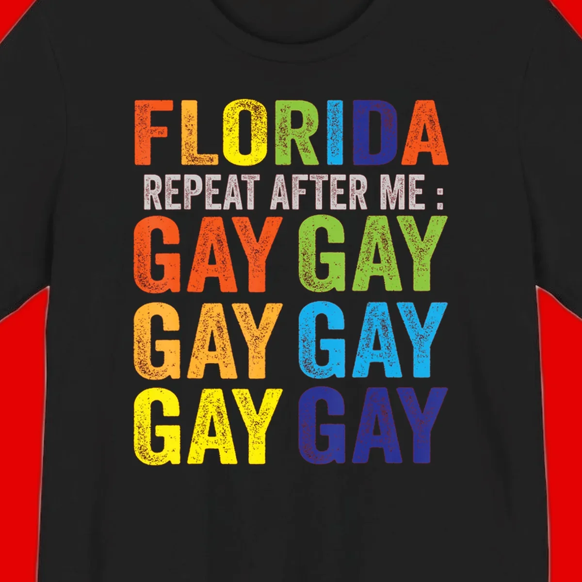 Rainbow colored text reading 'Florida Repeat After Me: Gay Gay Gay Gay' with distressed grunge texture on gray background