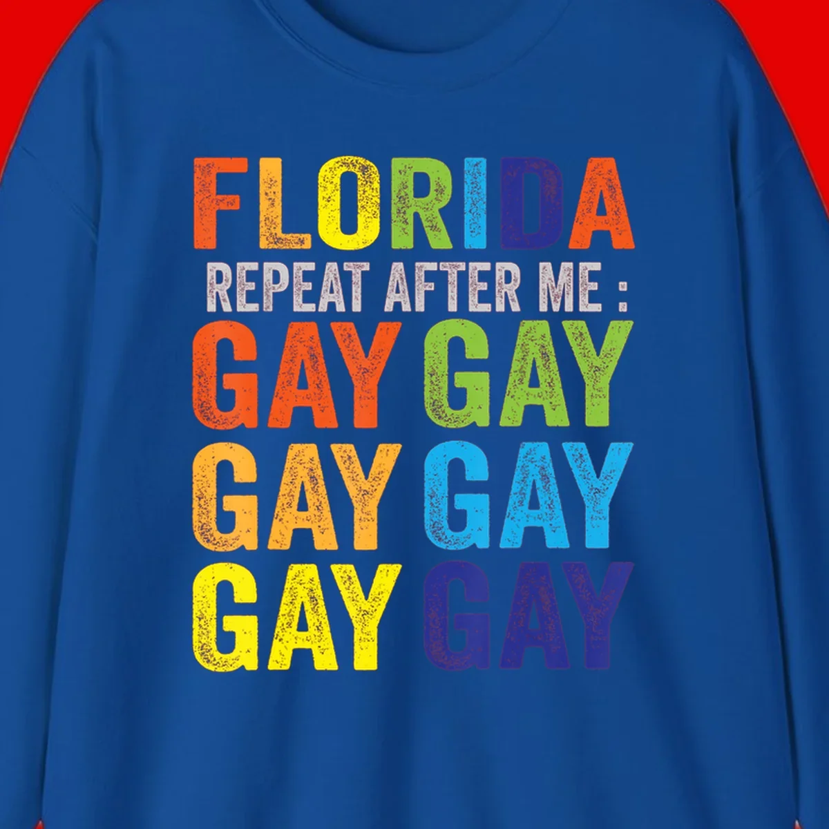 Rainbow colored text reading 'Florida Repeat After Me: Gay Gay Gay Gay' with distressed grunge texture on gray background