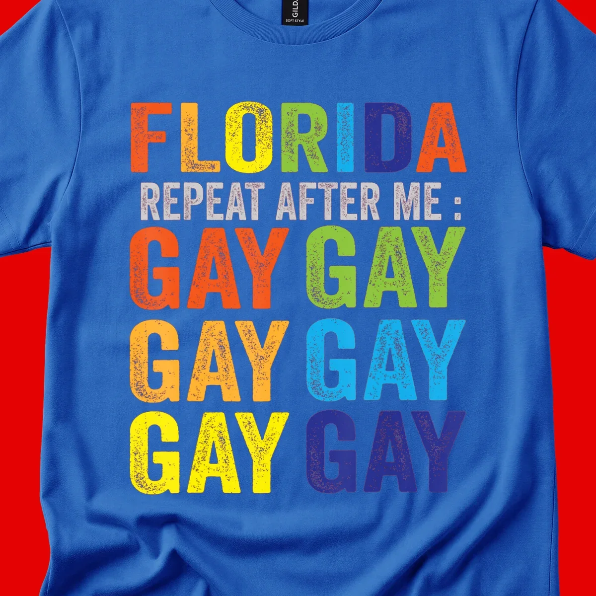 Rainbow colored text reading 'Florida Repeat After Me: Gay Gay Gay Gay' with distressed grunge texture on gray background