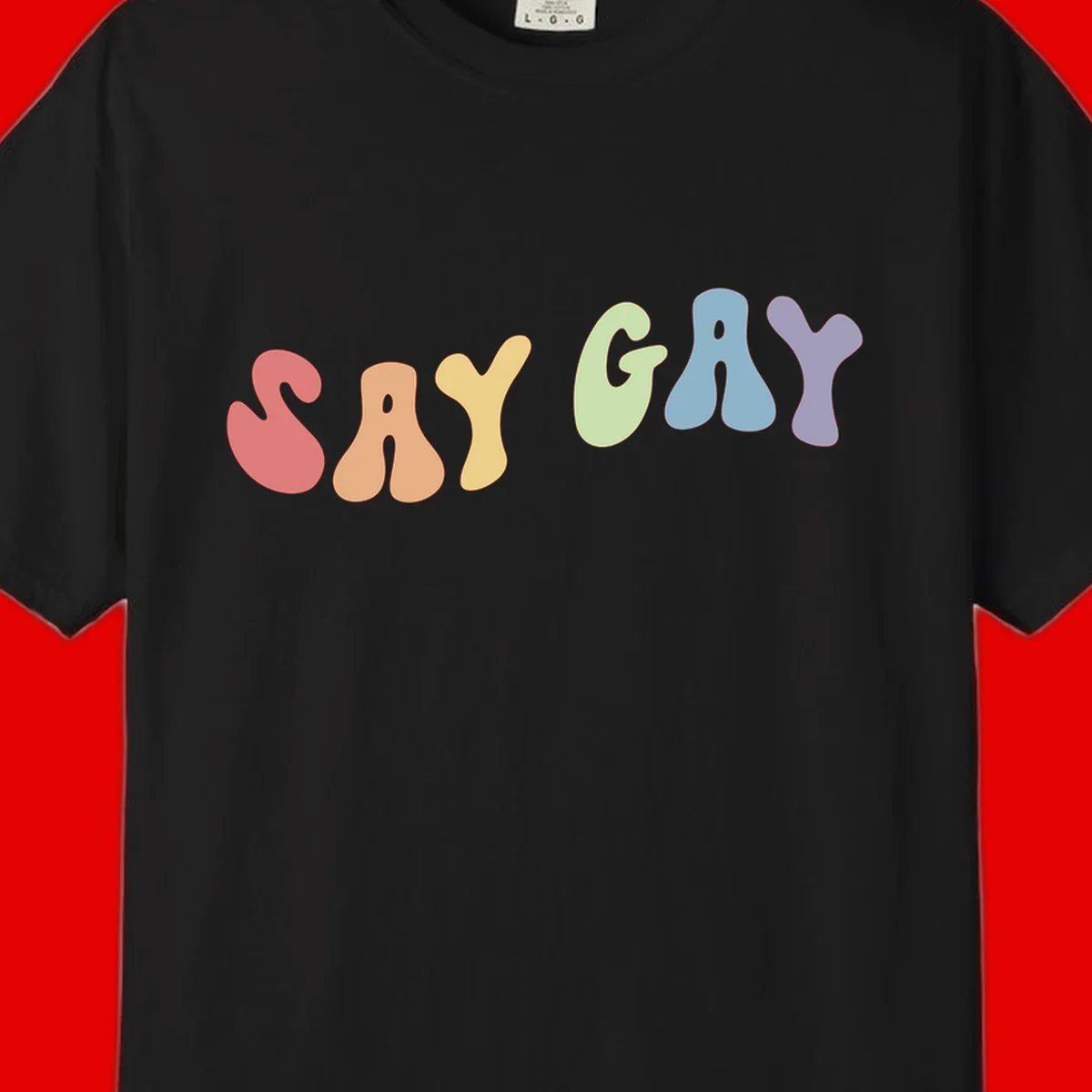 Colorful bubble letters spelling SAY GAY in rainbow pride colors: red, peach, yellow, green, blue, and purple on gray background