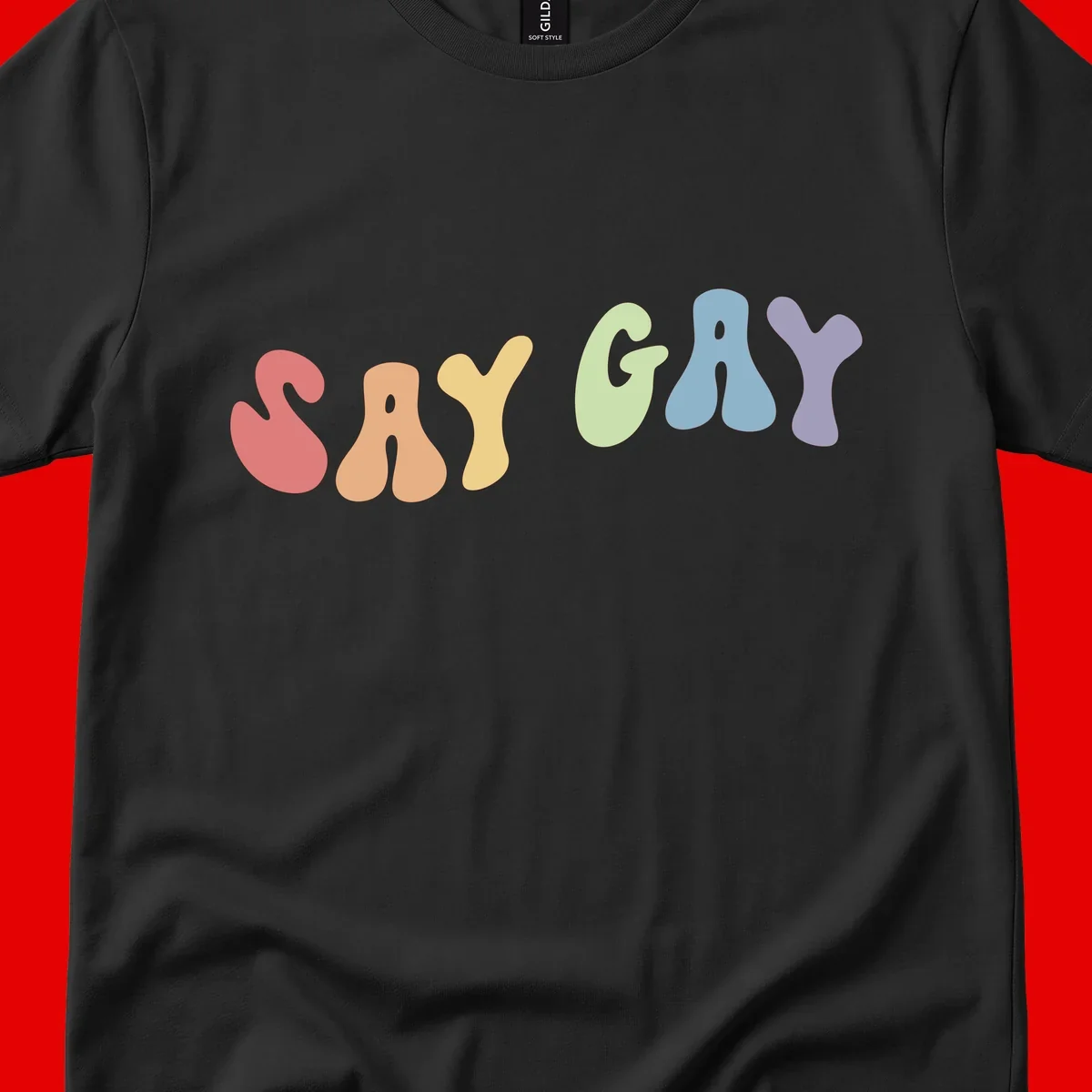 Colorful bubble letters spelling SAY GAY in rainbow pride colors: red, peach, yellow, green, blue, and purple on gray background