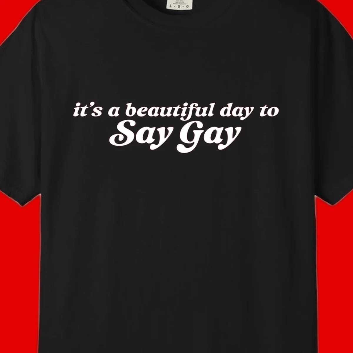 White italic text reading 'it's a beautiful day to Say Gay' on gray background, beautiful-day-say-gay pride design