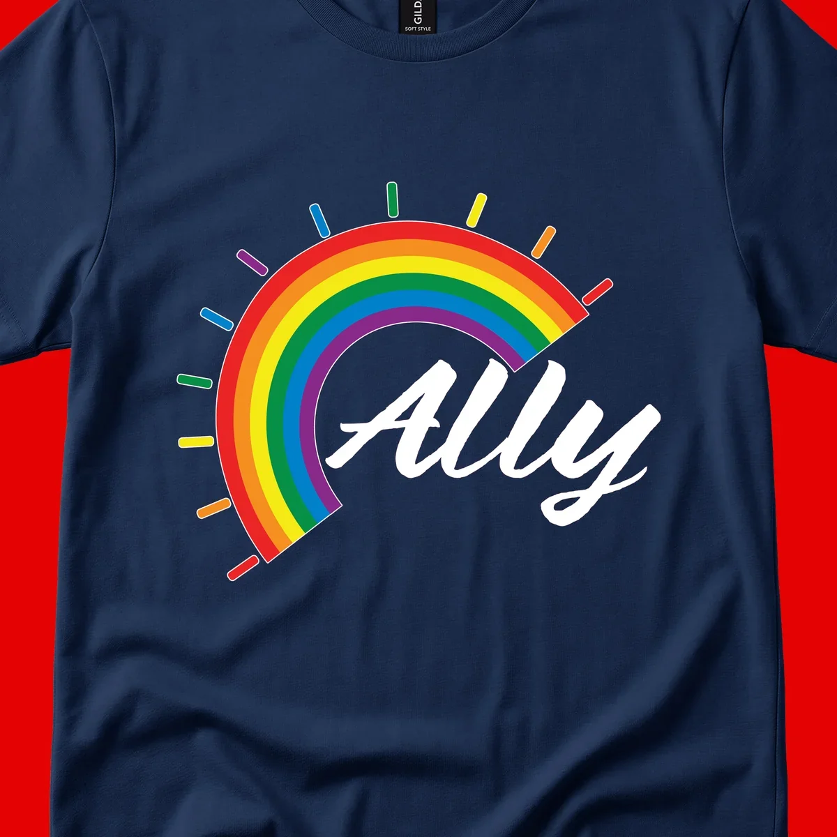Colorful pride rainbow arc with radiating lines behind white cursive 'ally' text on gray background