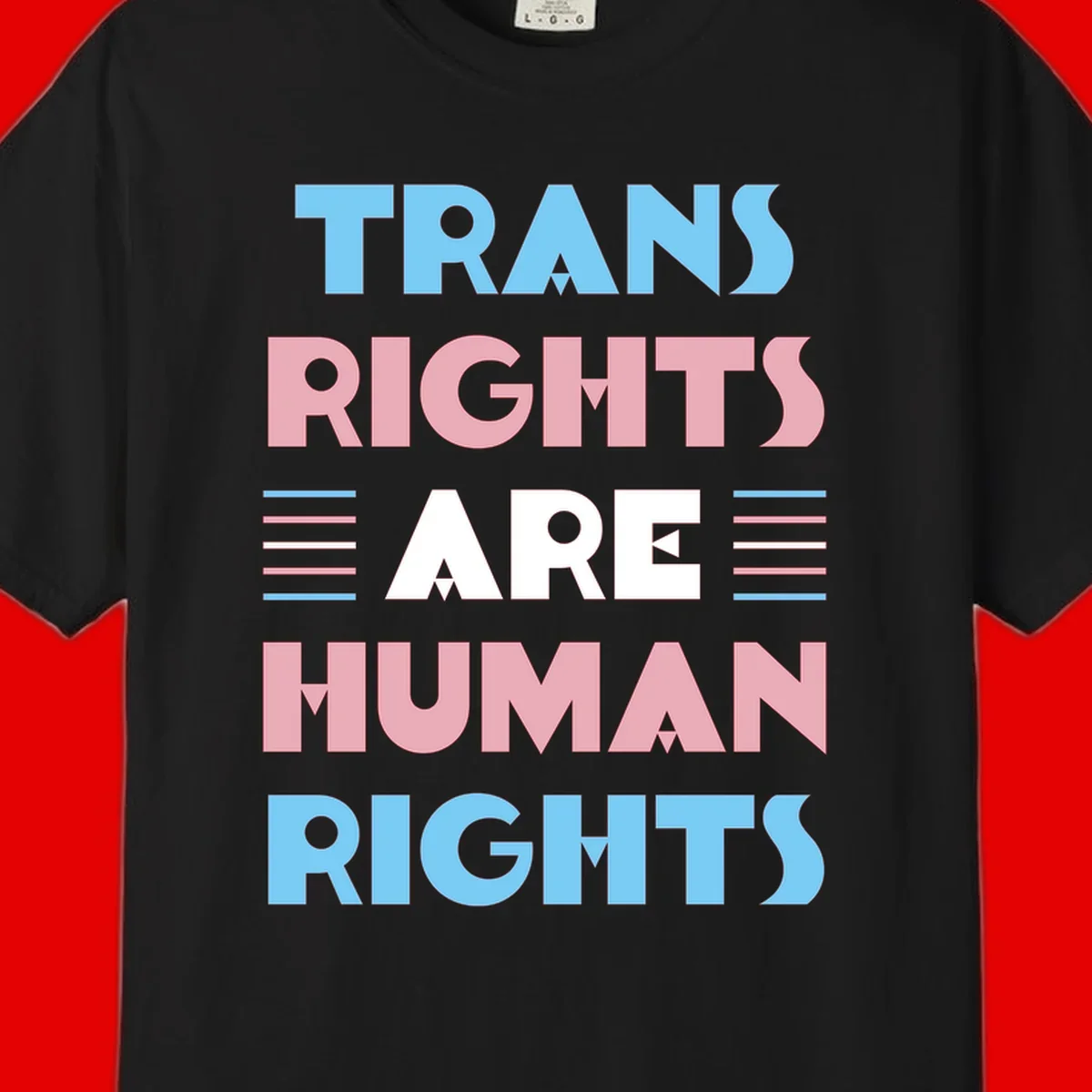Bold typography design reading 'TRANS RIGHTS ARE HUMAN RIGHTS' in light blue, pink, and white letters with decorative stripes on a gray background