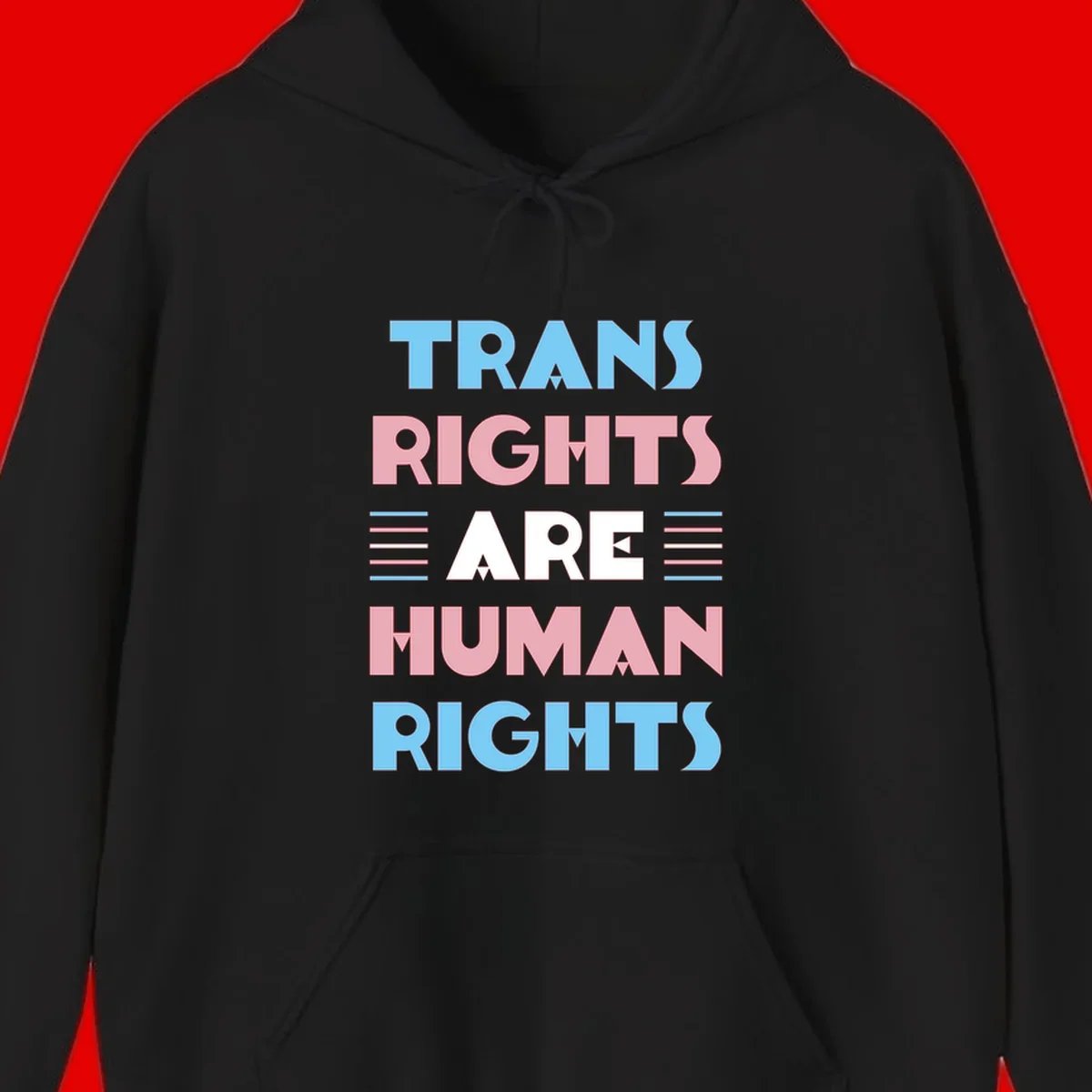 Bold typography design reading 'TRANS RIGHTS ARE HUMAN RIGHTS' in light blue, pink, and white letters with decorative stripes on a gray background