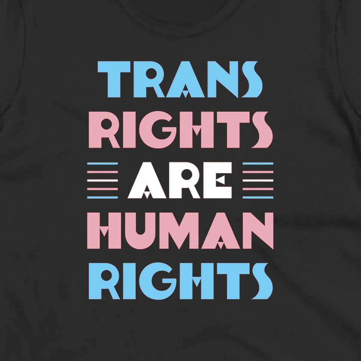 Bold typography design reading 'TRANS RIGHTS ARE HUMAN RIGHTS' in light blue, pink, and white letters with decorative stripes on a gray background
