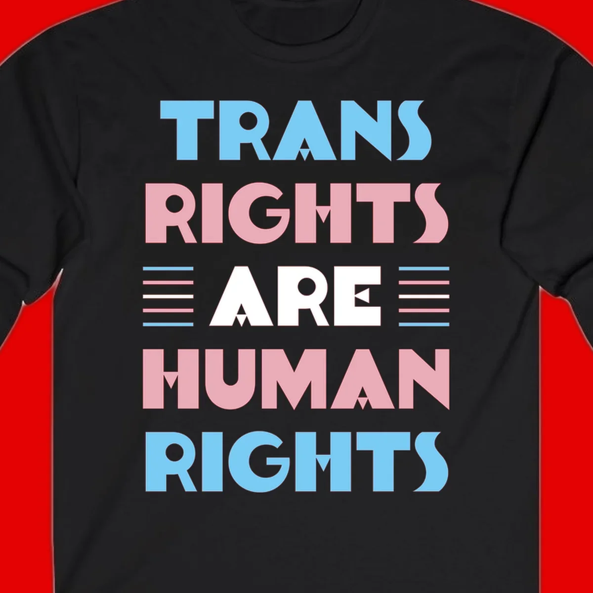 Bold typography design reading 'TRANS RIGHTS ARE HUMAN RIGHTS' in light blue, pink, and white letters with decorative stripes on a gray background