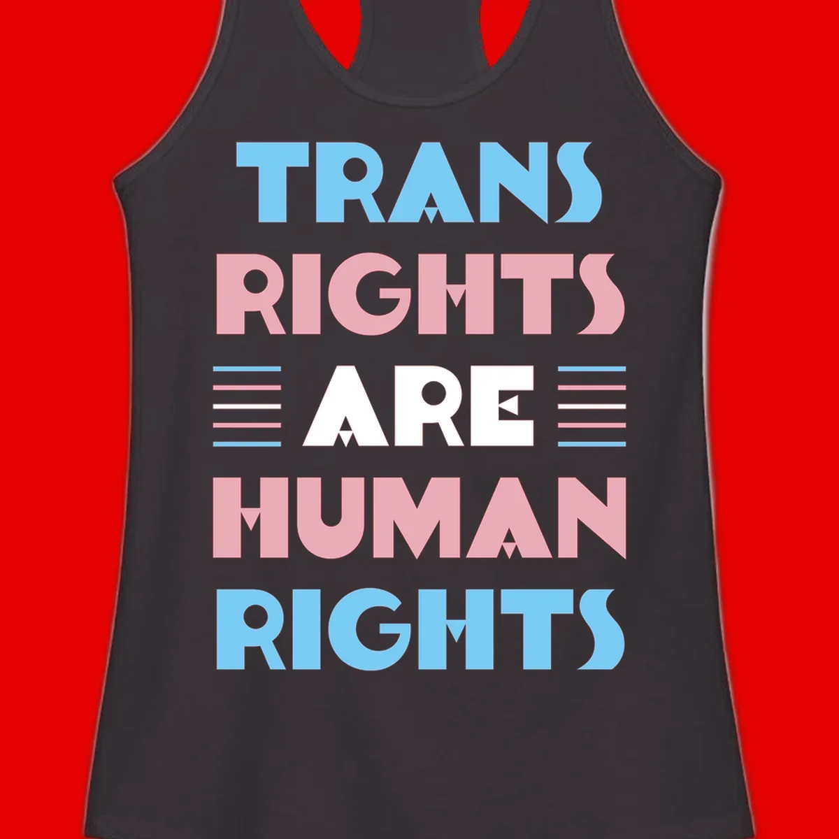 Bold typography design reading 'TRANS RIGHTS ARE HUMAN RIGHTS' in light blue, pink, and white letters with decorative stripes on a gray background