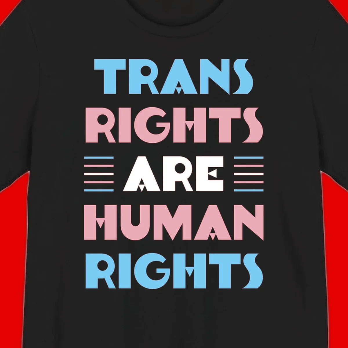 Bold typography design reading 'TRANS RIGHTS ARE HUMAN RIGHTS' in light blue, pink, and white letters with decorative stripes on a gray background