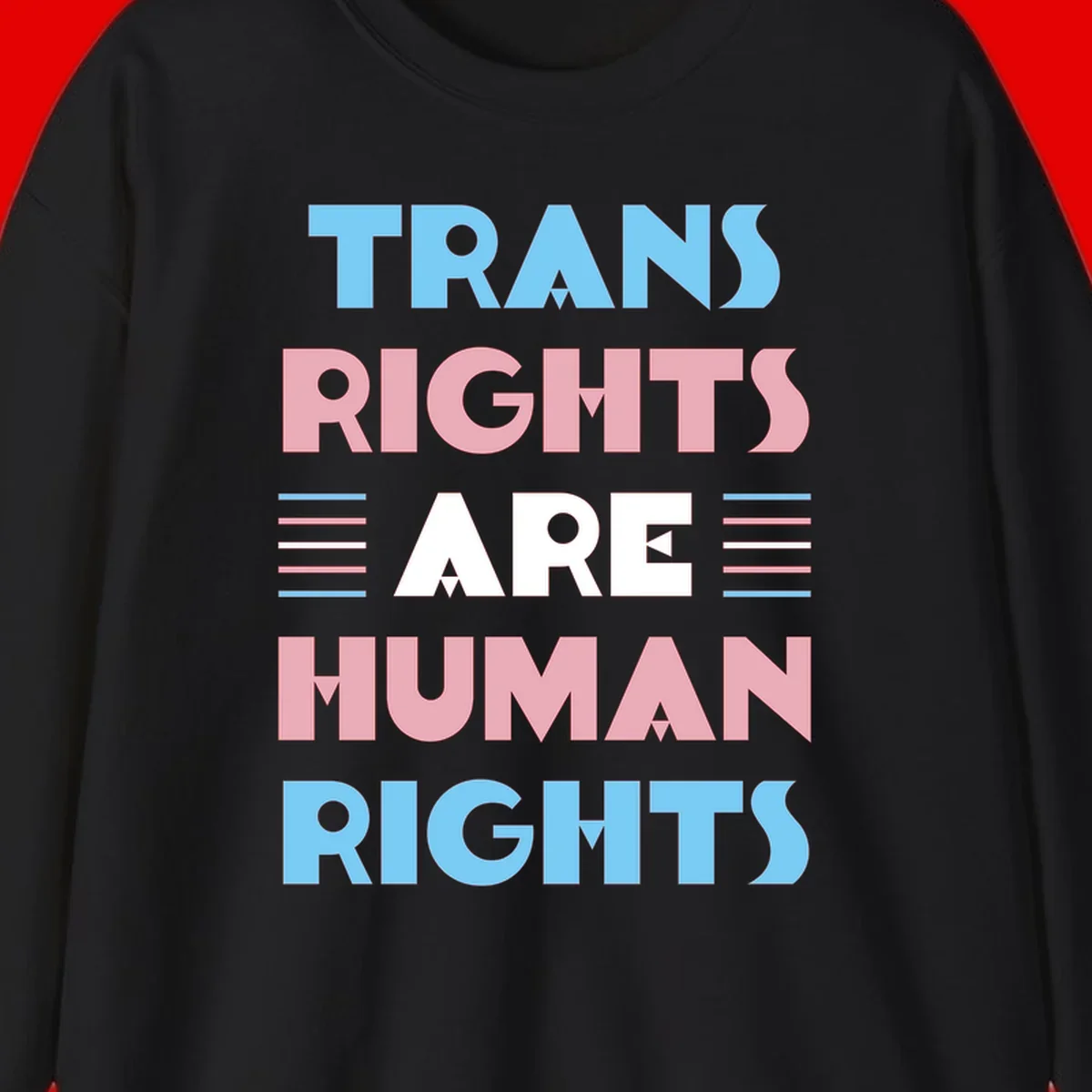 Bold typography design reading 'TRANS RIGHTS ARE HUMAN RIGHTS' in light blue, pink, and white letters with decorative stripes on a gray background