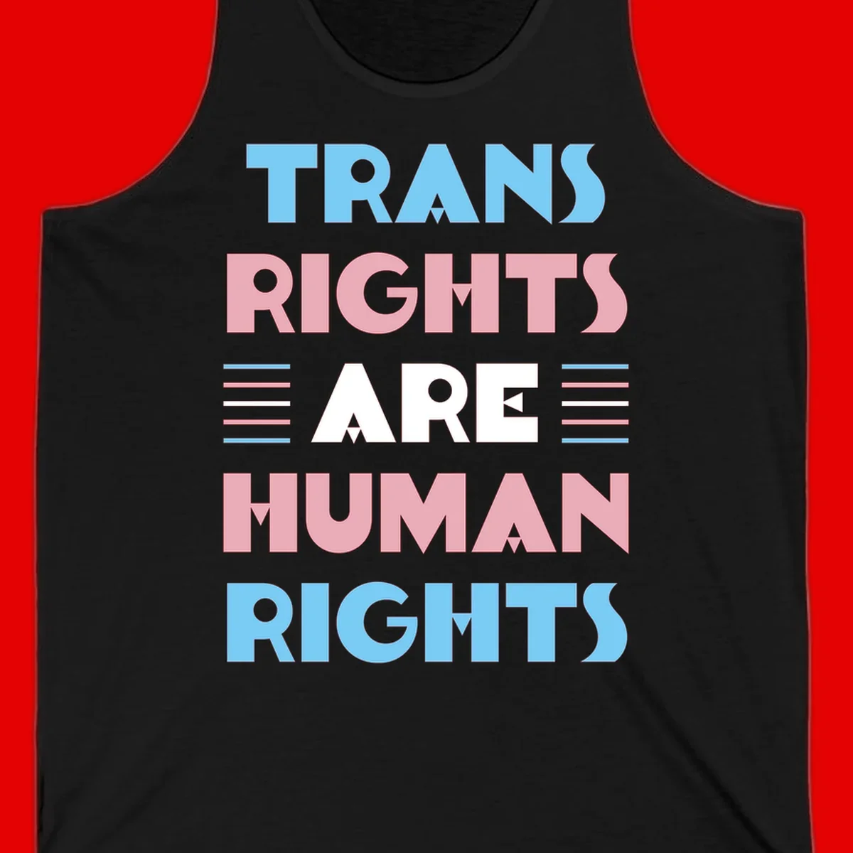 Bold typography design reading 'TRANS RIGHTS ARE HUMAN RIGHTS' in light blue, pink, and white letters with decorative stripes on a gray background