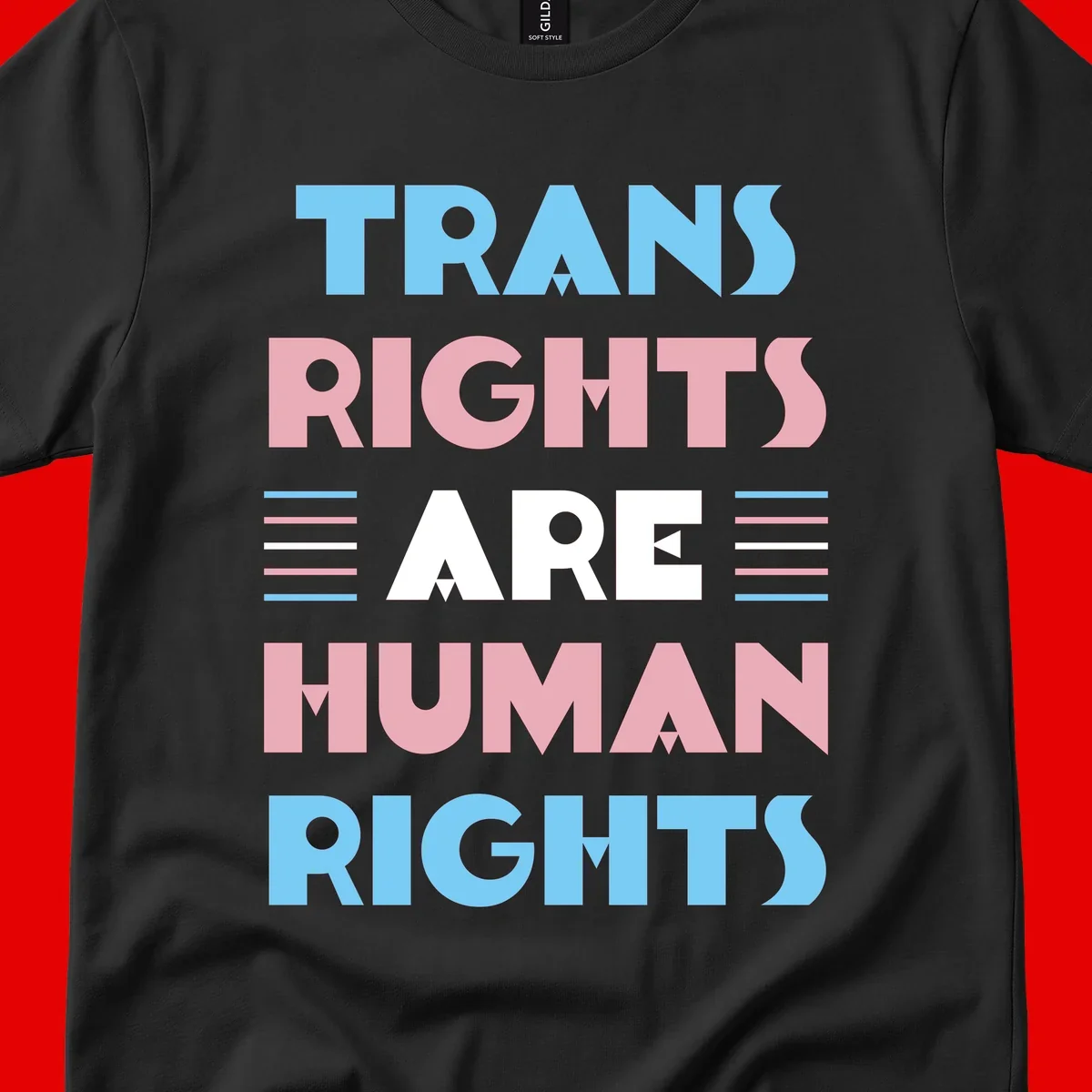 Bold typography design reading 'TRANS RIGHTS ARE HUMAN RIGHTS' in light blue, pink, and white letters with decorative stripes on a gray background