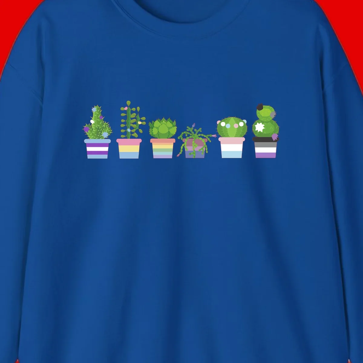 Six illustrated cacti and succulents in rainbow-striped pots with colorful blooms and spikes