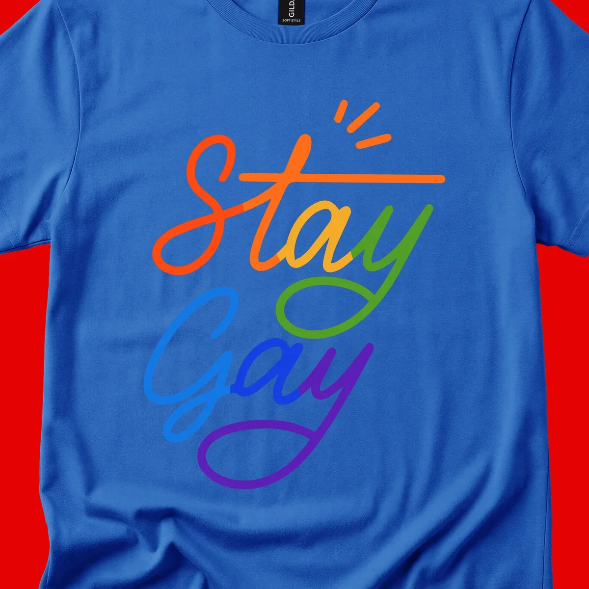 Colorful rainbow text reading 'Stay Gay' with green checkmark and orange exclamation marks, celebrating LGBTQ+ pride