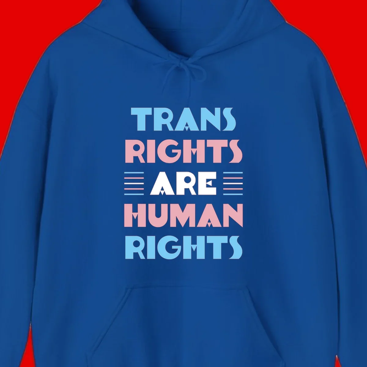 Bold typography design reading 'TRANS RIGHTS ARE HUMAN RIGHTS' with transgender flag colored stripes on gray background