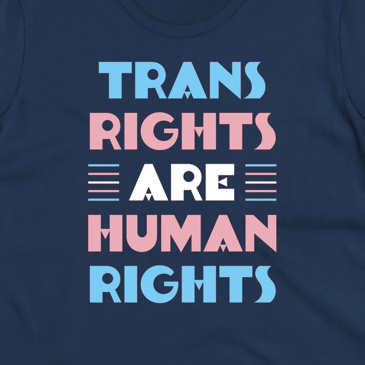 Bold typography design reading 'TRANS RIGHTS ARE HUMAN RIGHTS' with transgender flag colored stripes on gray background