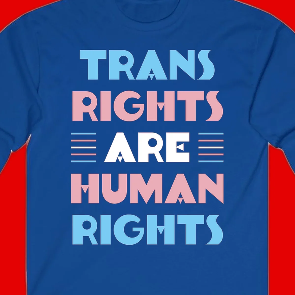 Bold typography design reading 'TRANS RIGHTS ARE HUMAN RIGHTS' with transgender flag colored stripes on gray background