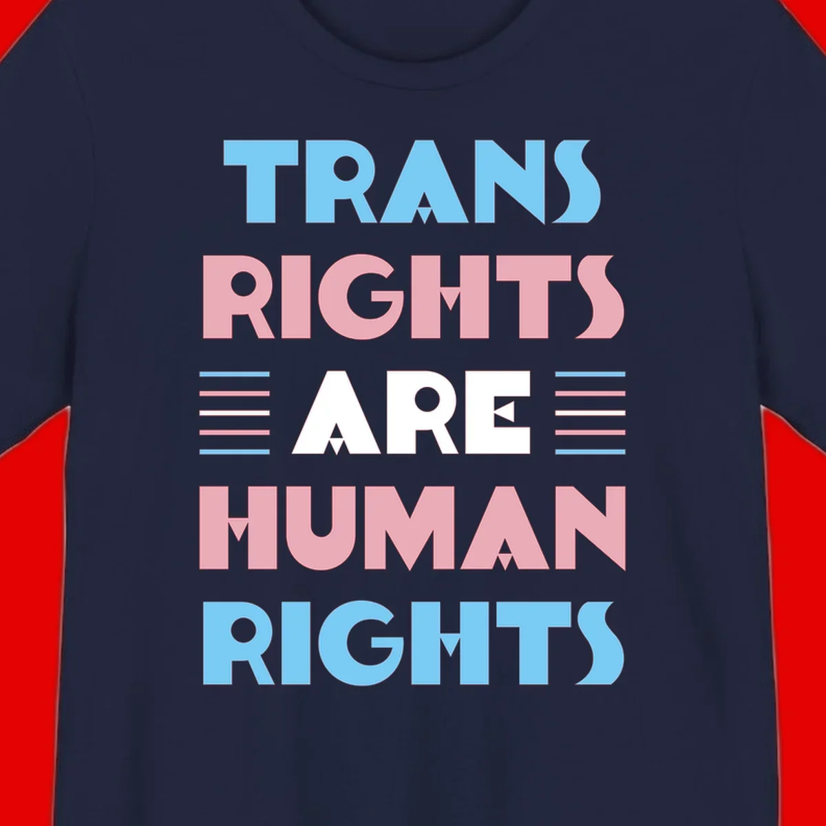 Bold typography design reading 'TRANS RIGHTS ARE HUMAN RIGHTS' with transgender flag colored stripes on gray background