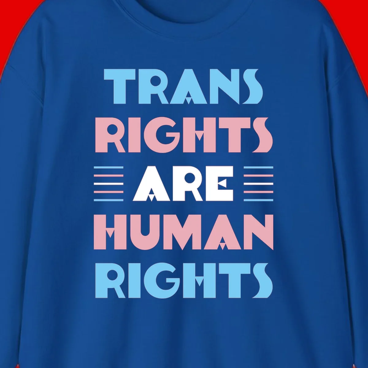 Bold typography design reading 'TRANS RIGHTS ARE HUMAN RIGHTS' with transgender flag colored stripes on gray background