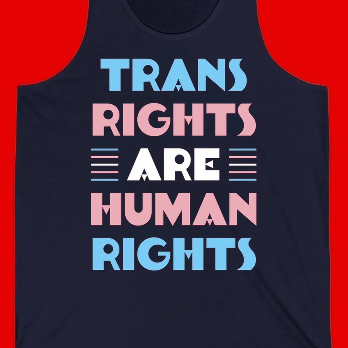 Bold typography design reading 'TRANS RIGHTS ARE HUMAN RIGHTS' with transgender flag colored stripes on gray background
