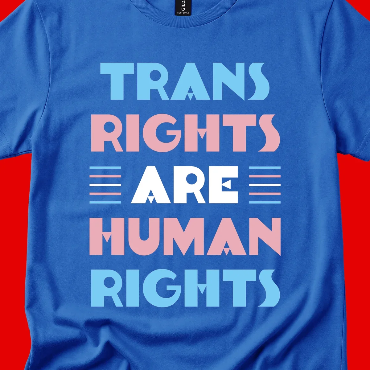 Bold typography design reading 'TRANS RIGHTS ARE HUMAN RIGHTS' with transgender flag colored stripes on gray background