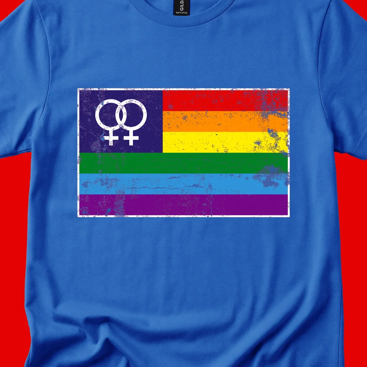 Lesbian pride flag with two interlocking female symbols on distressed background, rainbow stripes design