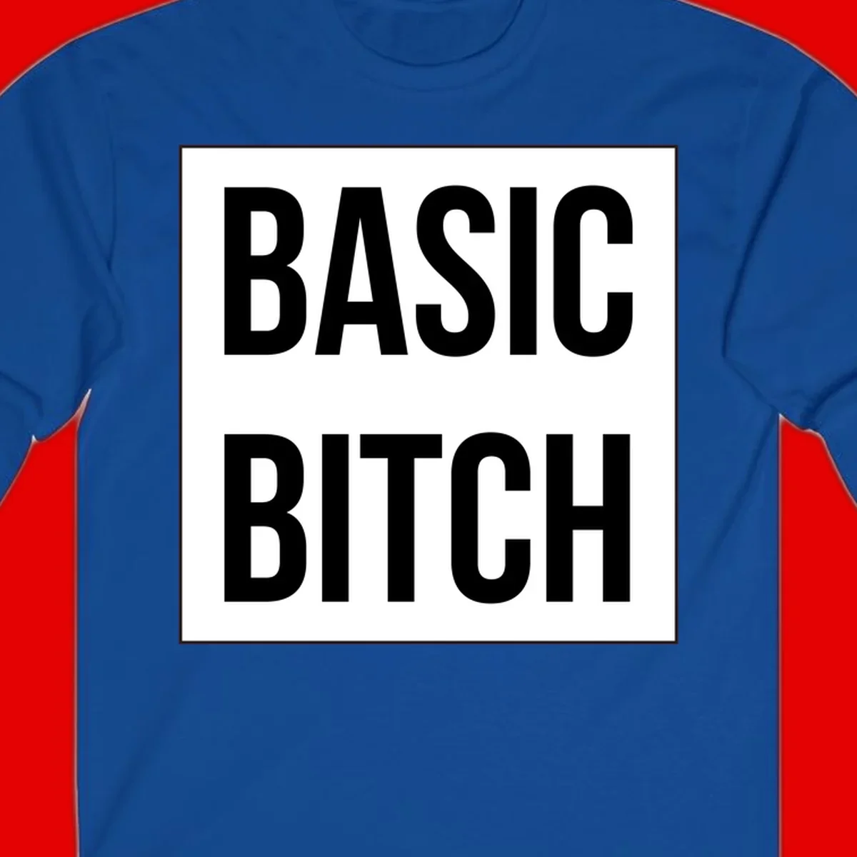 Black and white basic bitch attitude graphic with bold sans-serif text in rectangular border frame
