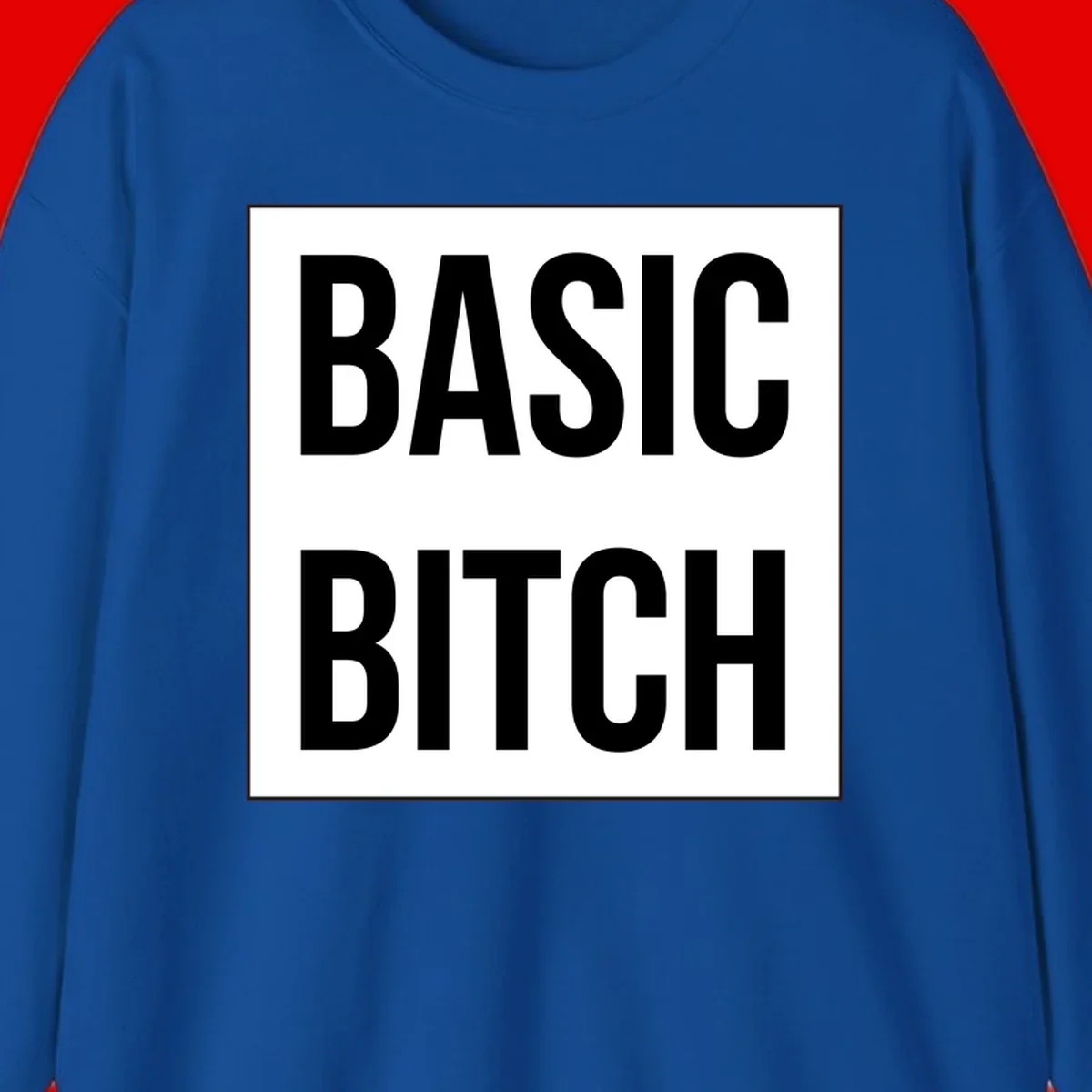 Black and white basic bitch attitude graphic with bold sans-serif text in rectangular border frame