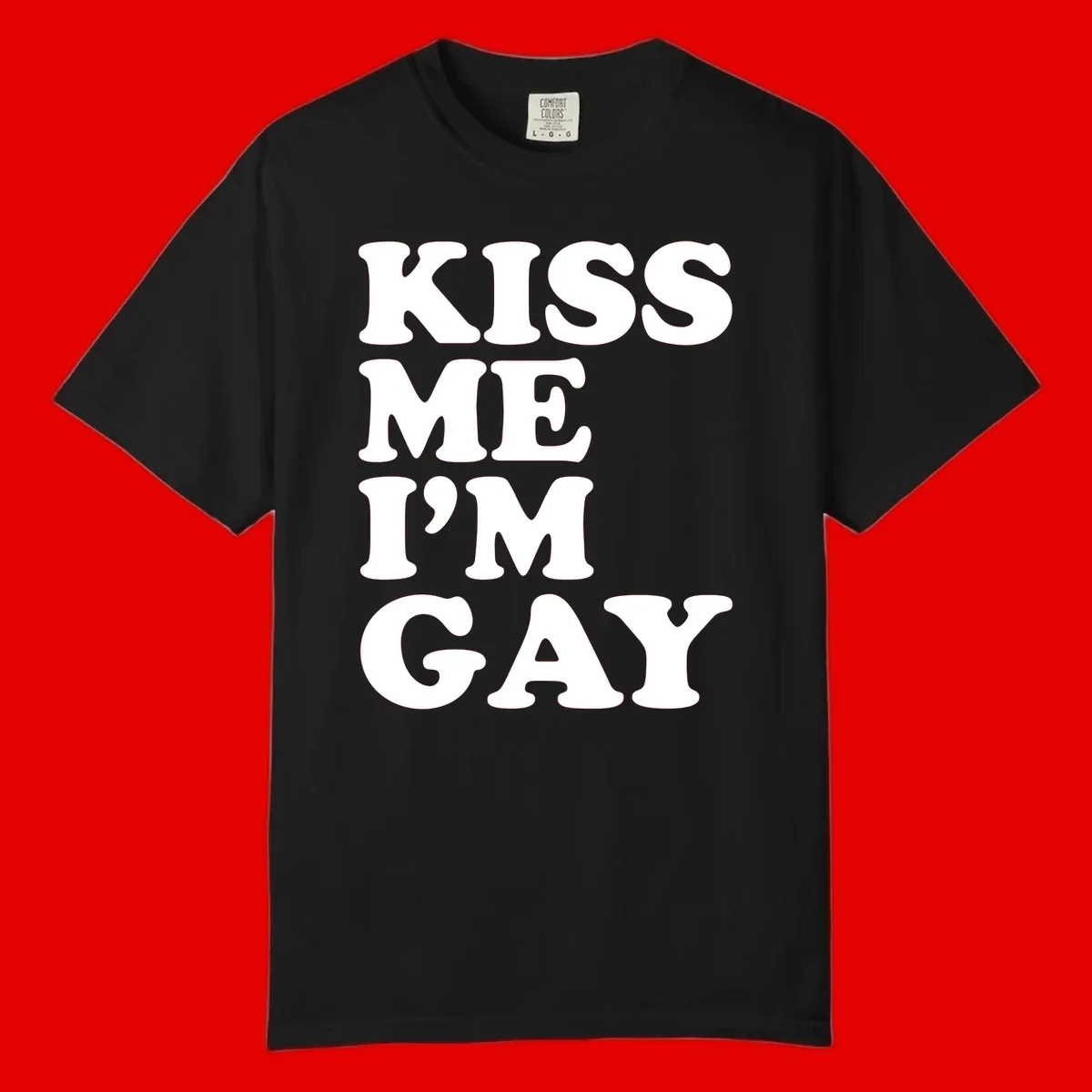 Bold white block letters spelling 'KISS ME I'M GAY' stacked vertically on gray background