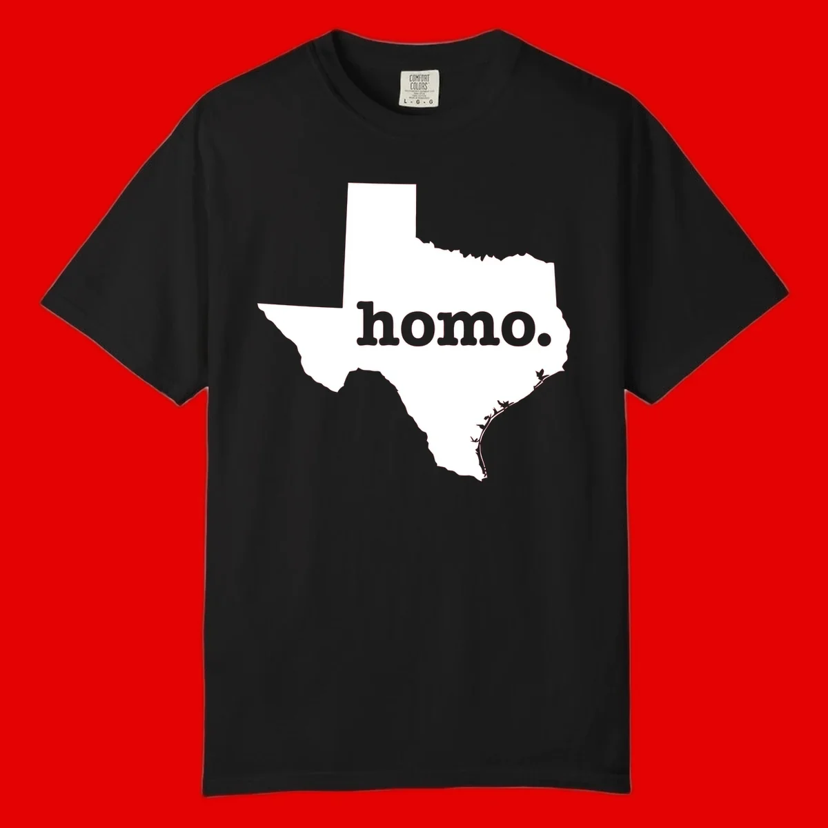 White Texas state silhouette with 'homo.' text overlay on gray background, homo-texas-pride design
