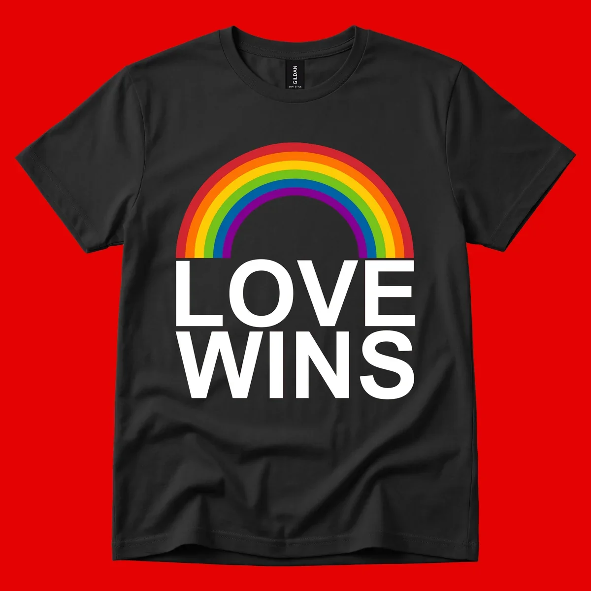 Rainbow arc above white text reading 'Love Wins' on gray background, pride equality design