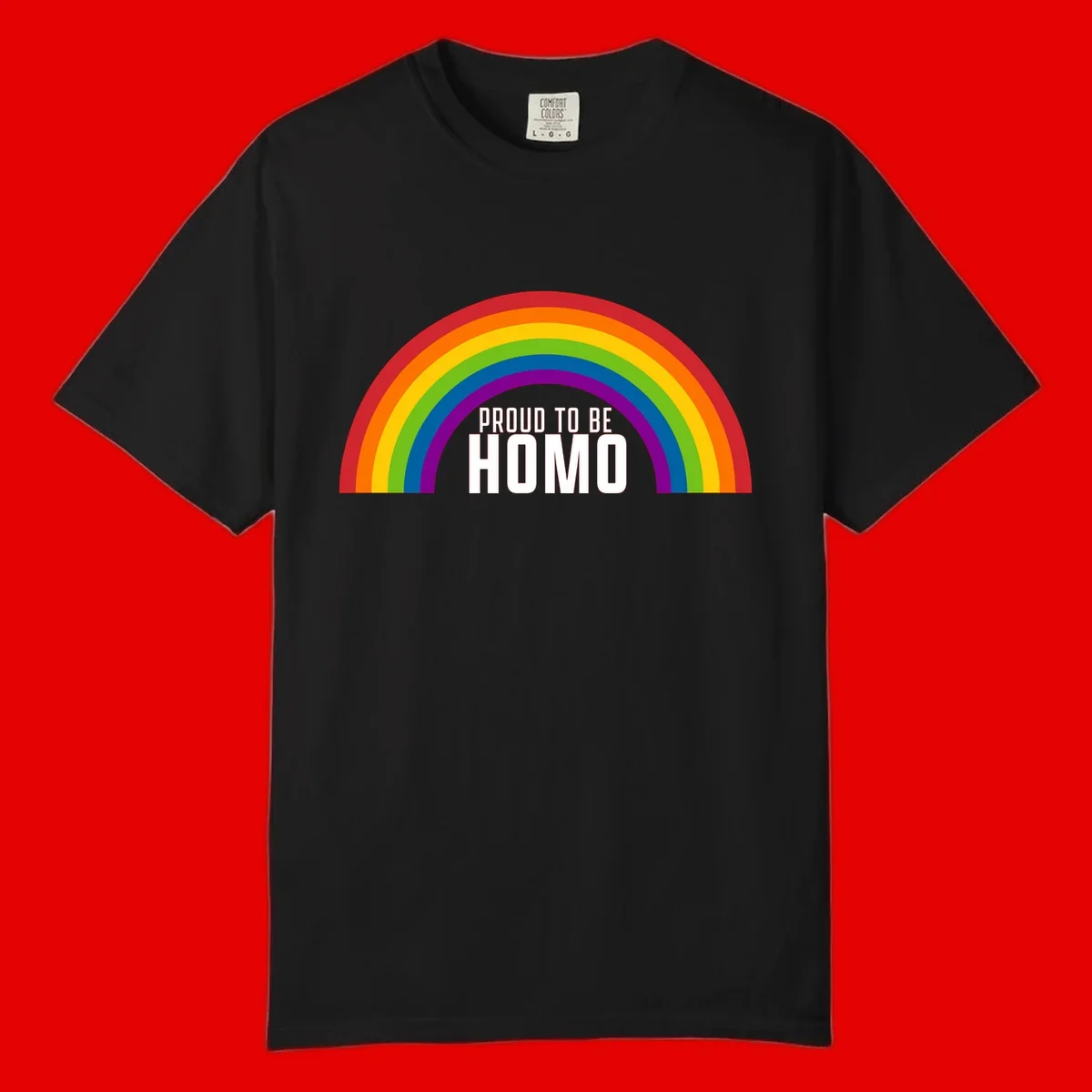 Proud to be homo design: rainbow arc in pride colors frames white text on gray background
