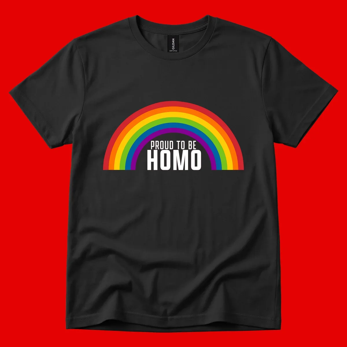 Proud to be homo design: rainbow arc in pride colors frames white text on gray background