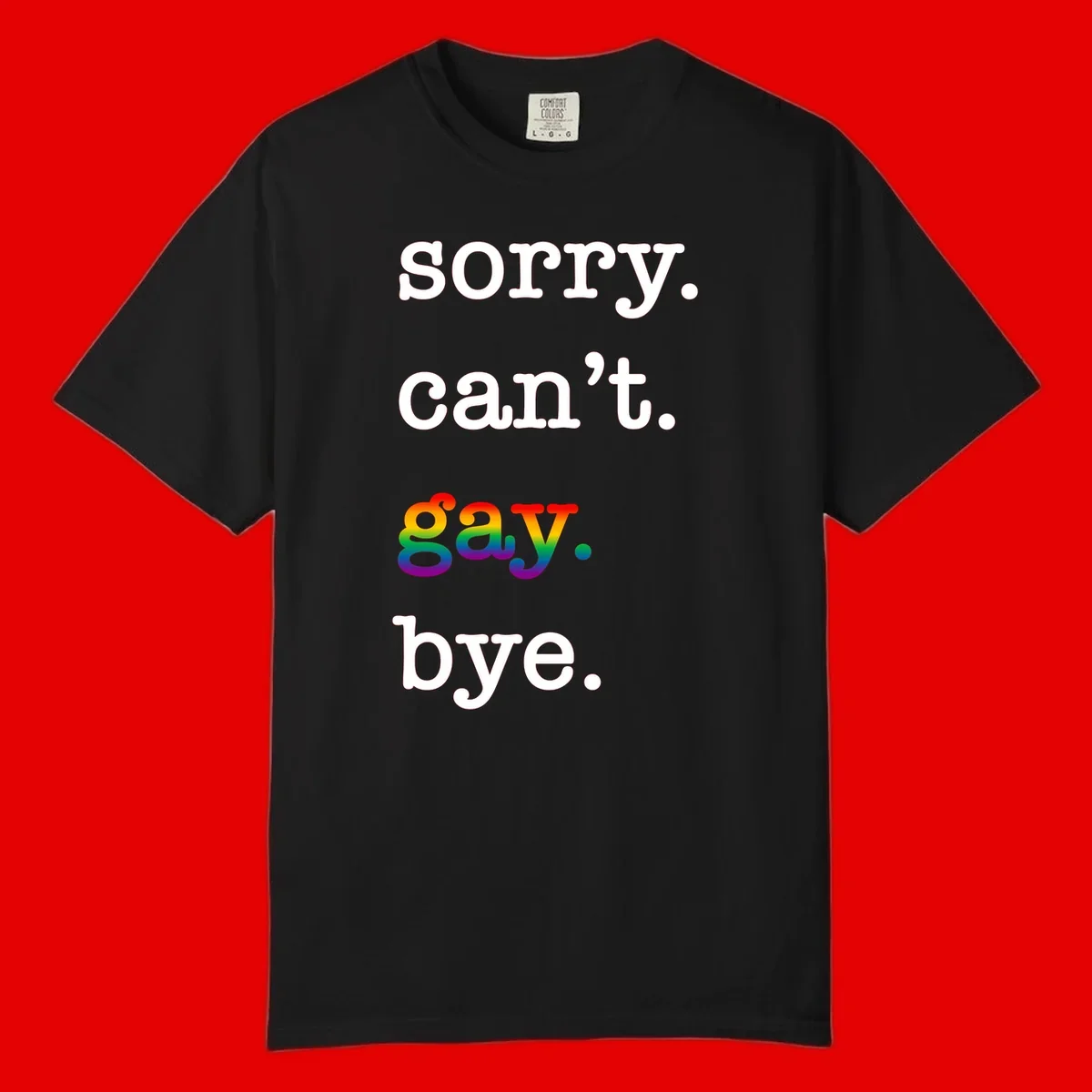 Gray background with white text reading 'Sorry can't say' and 'bye' with the word 'gay' in vibrant rainbow gradient colors, a playful pride celebration design.