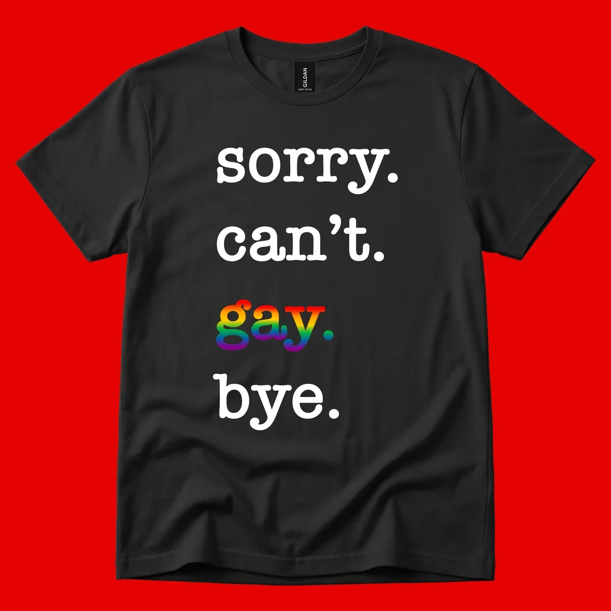 Gray background with white text reading 'Sorry can't say' and 'bye' with the word 'gay' in vibrant rainbow gradient colors, a playful pride celebration design.