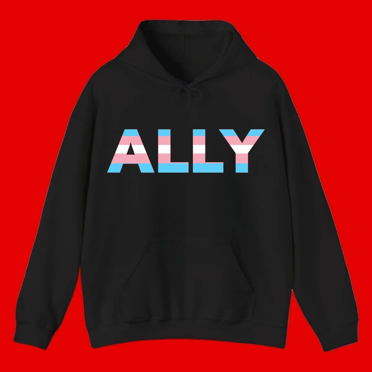 Trans pride flag colors in cyan, pink, and white horizontal stripes forming geometric letters spelling 'ALLY'