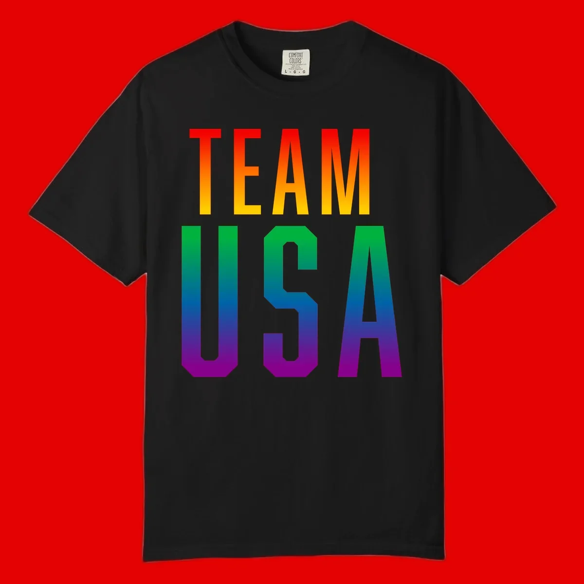 Team USA rainbow pride design with bold text gradient from red to purple representing LGBTQ+ flag colors