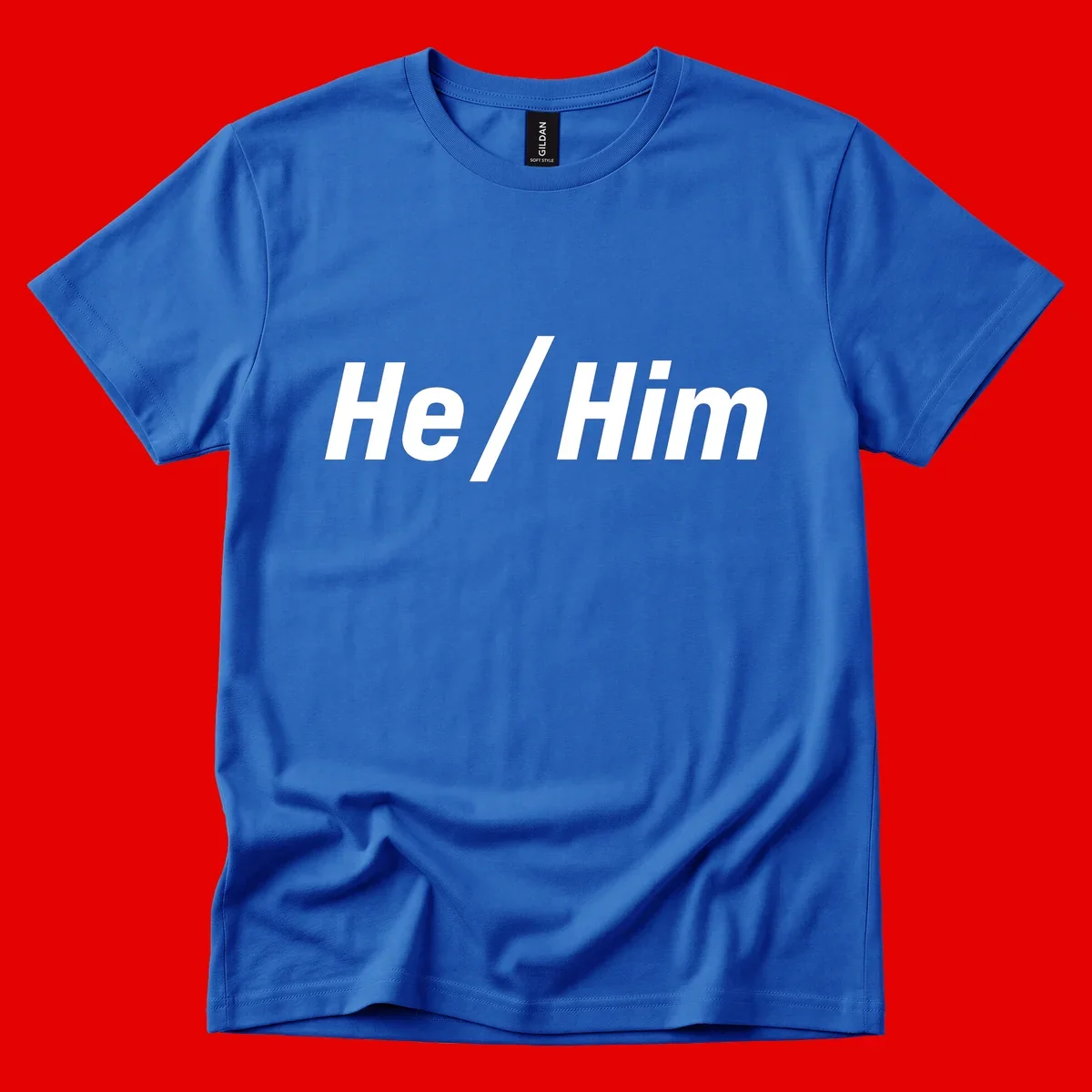 Bold white text reading 'He / Him' with forward slash on gray background for pronoun pride awareness