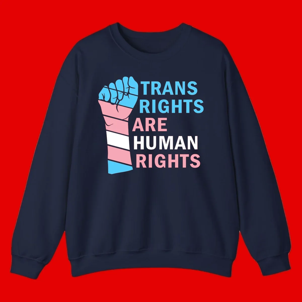 Raised fist in trans flag colors (blue, pink, white) with text 'Trans Rights Are Human Rights' promoting equality and pride