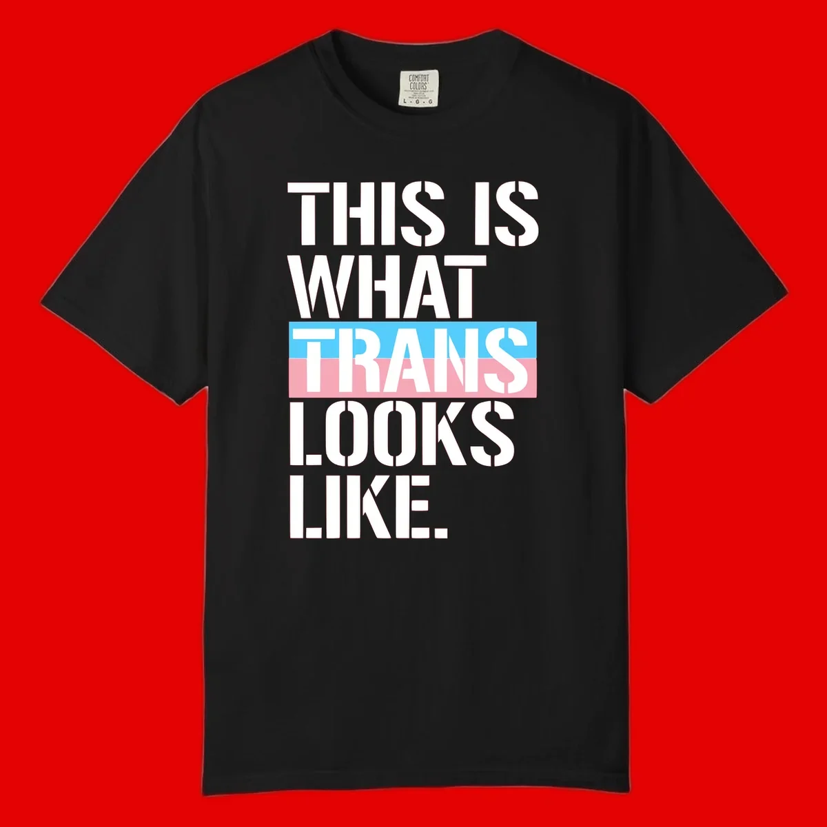 Bold typography design reading 'THIS IS WHAT TRANS LOOKS LIKE' with trans pride flag colors in blue and pink stripe