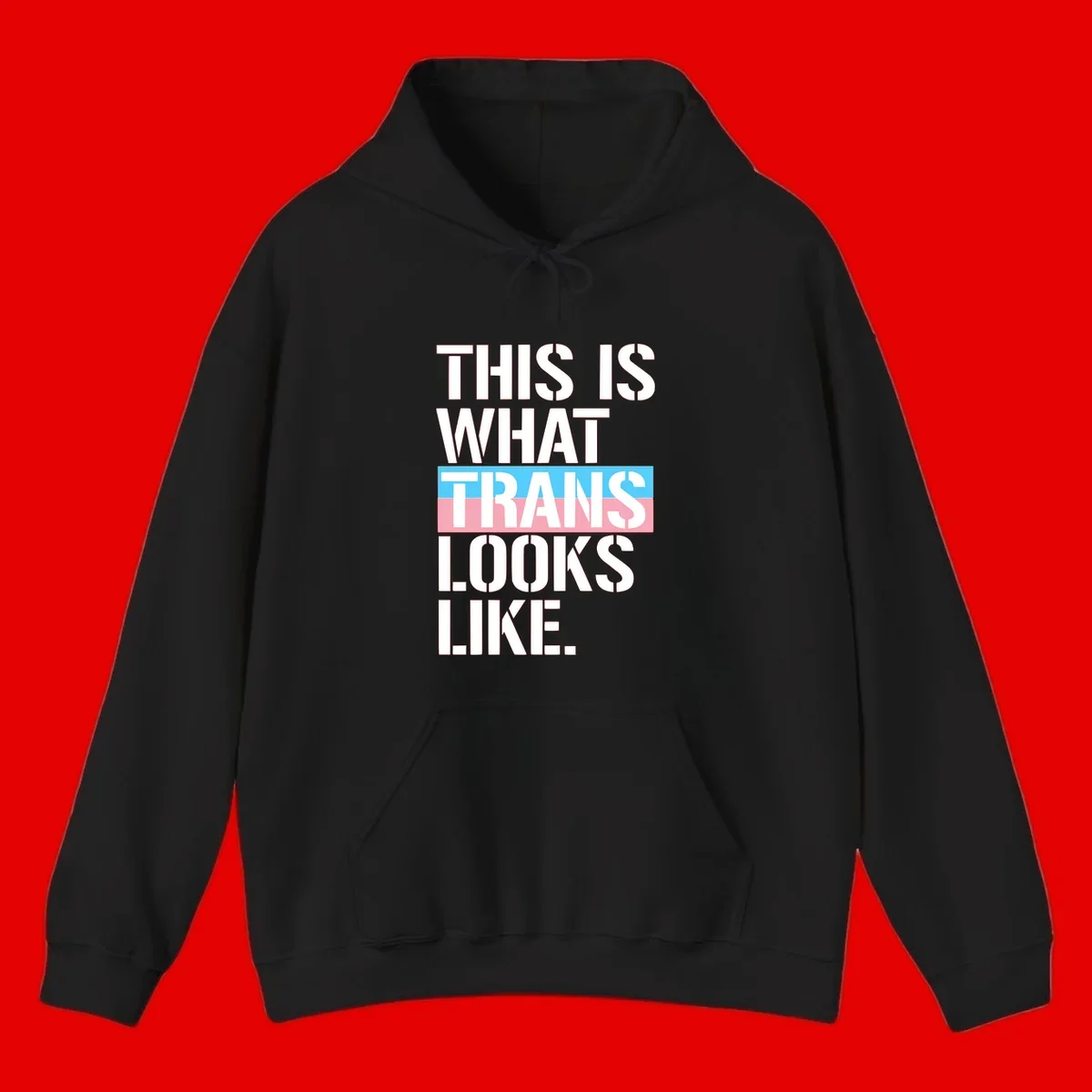 Bold typography design reading 'THIS IS WHAT TRANS LOOKS LIKE' with trans pride flag colors in blue and pink stripe