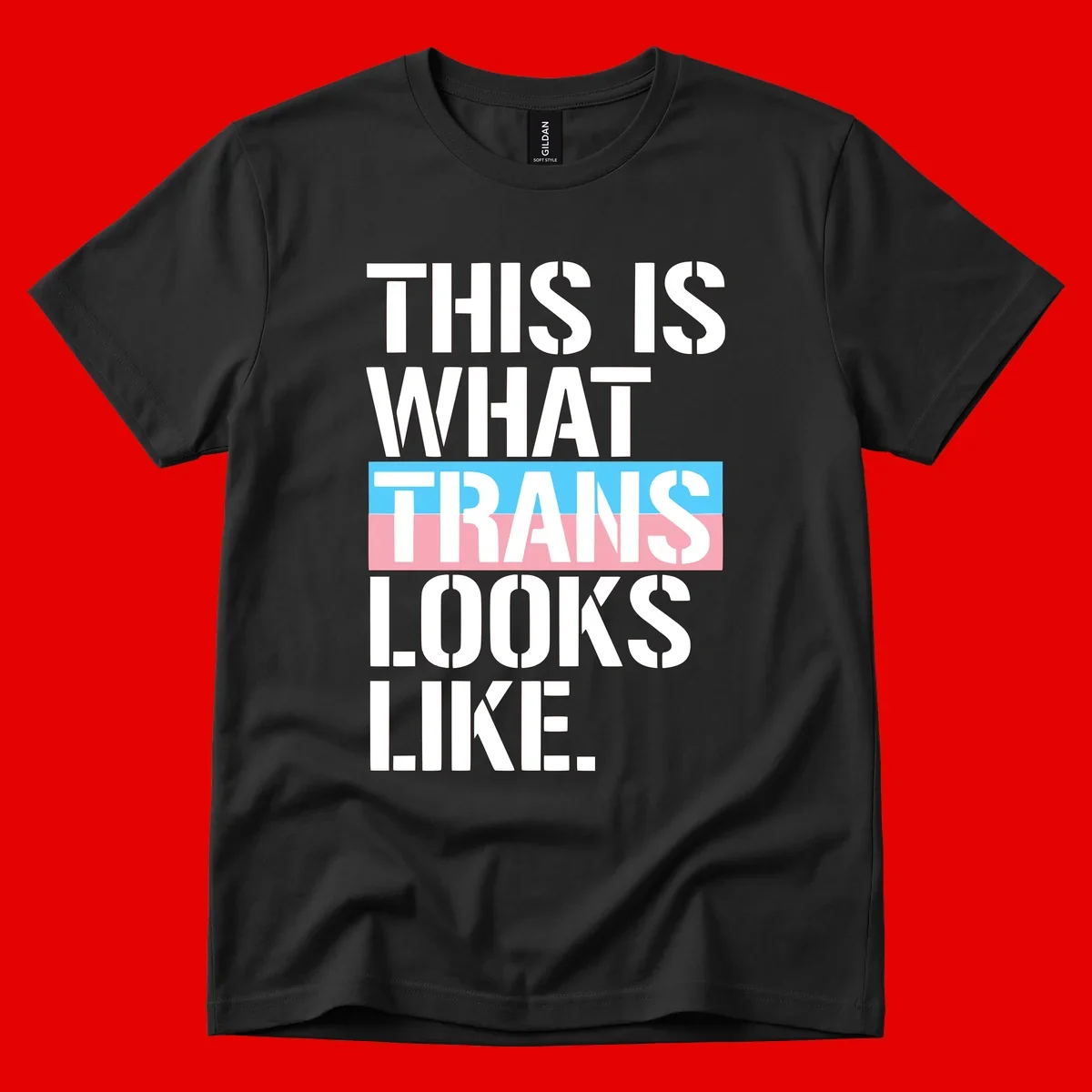 Bold typography design reading 'THIS IS WHAT TRANS LOOKS LIKE' with trans pride flag colors in blue and pink stripe
