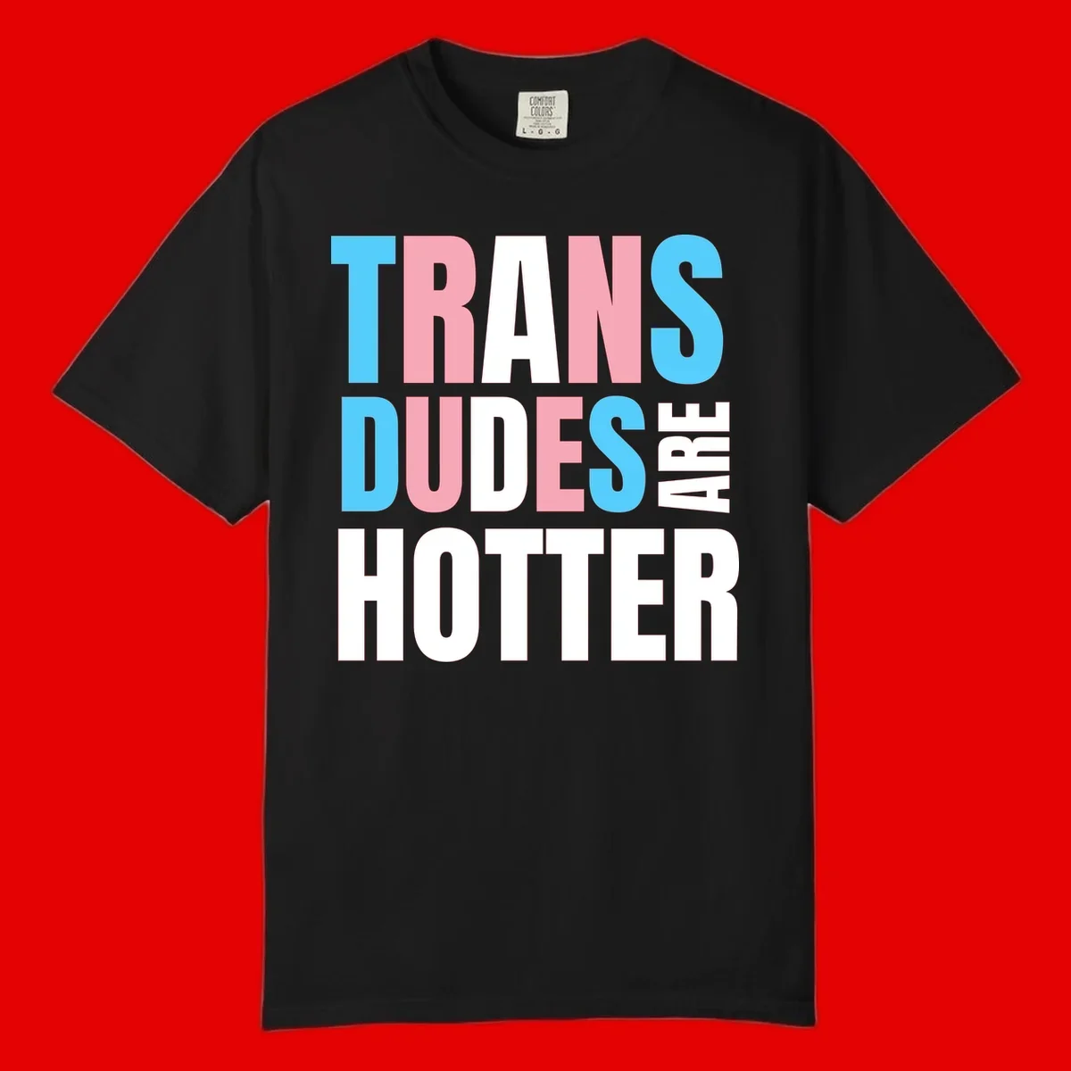 Bold typography design reading 'TRANS DUDES ARE HOTTER' in cyan, pink, and white letters on gray background