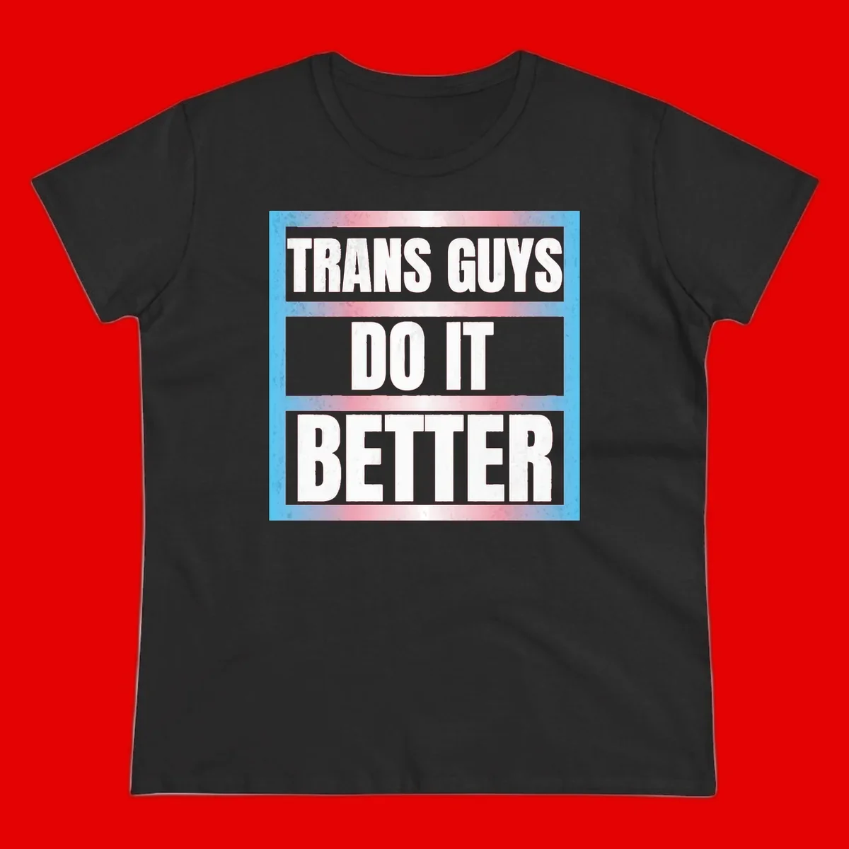 Bold white text reading 'TRANS GUYS DO IT BETTER' on gray bands with transgender flag watercolor background in blue, pink, and white.
