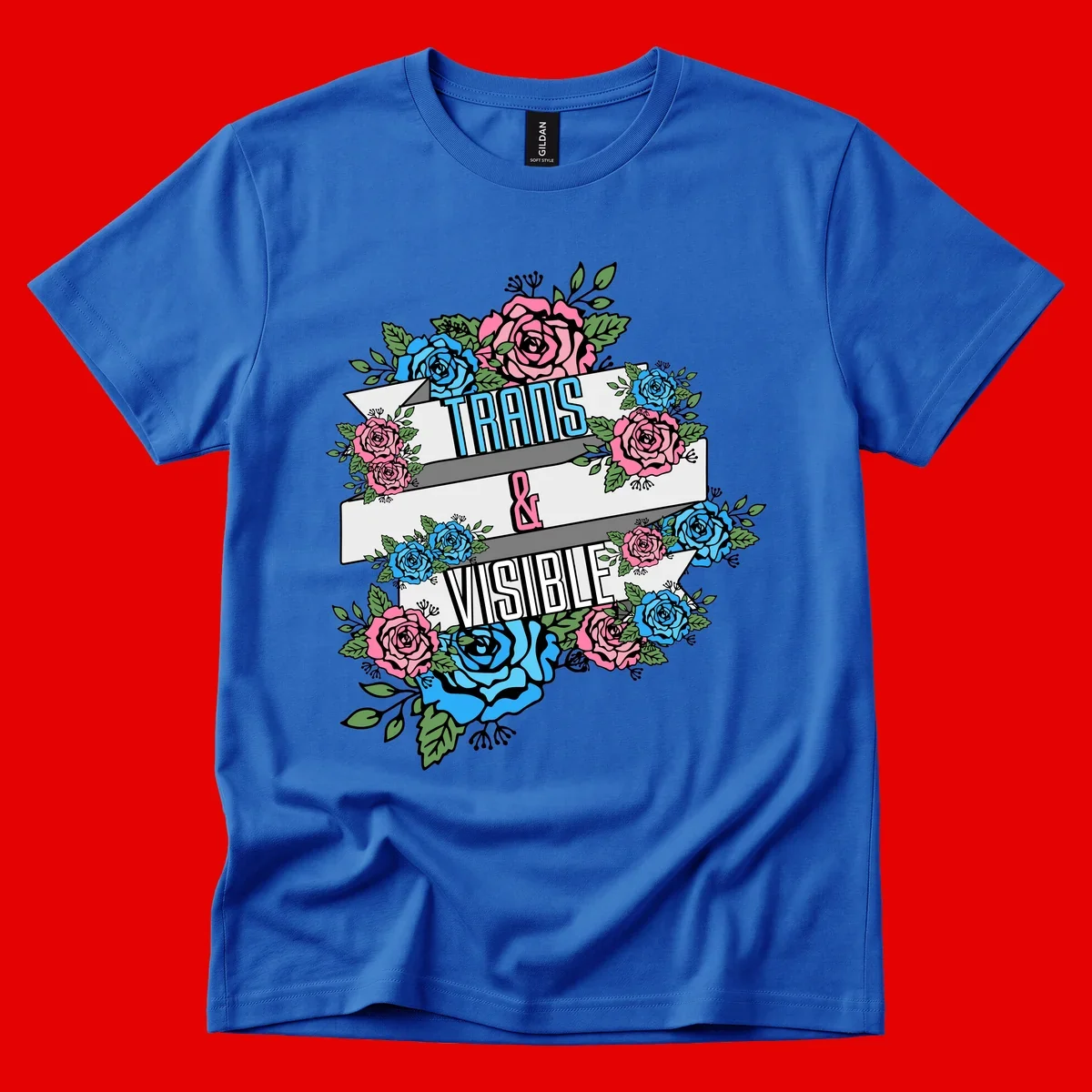 Trains and visible pride design with blue and pink roses and green leaves surrounding banner text on gray background