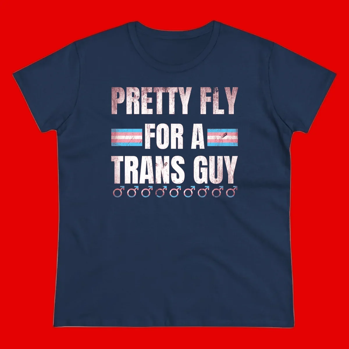 Distressed white text reading 'Pretty Fly For A Trans Guy' with blue and pink transgender pride stripes and male gender symbols